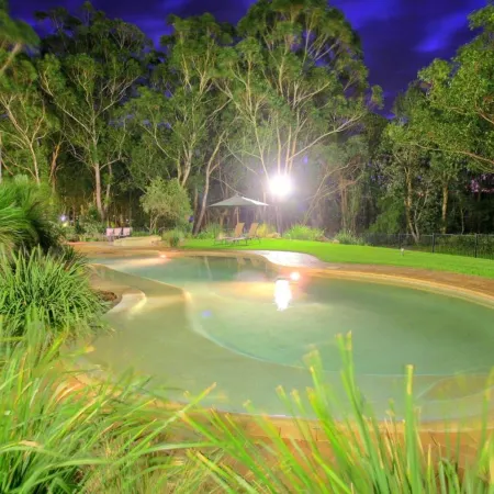 Port Stephens Koala Sanctuary