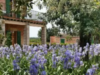 Son Bernadinet Hotels in Campos