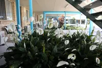 Kilcoy Gardens Motel Hotels in Kilcoy