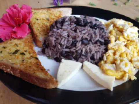 OutBox Inn Hotels in Monteverde