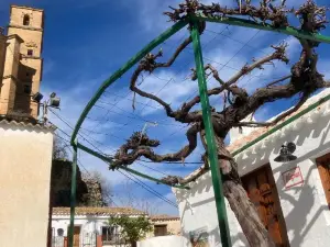 Las Casillas de la Villa ALEGRÍAS