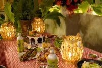 5-Homestay I