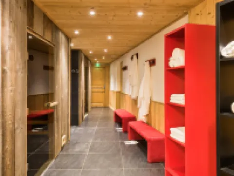 Hotel le Petit Dru Hoteles en Morzine