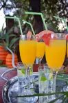 Wielewaal Bush Lodge - Baarit