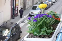 La Casa Dei Sogni