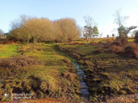 New Forest Lodge Hotels in Salisbury