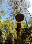 Woody Park