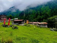 Ayder Vesile Otel
