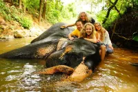 Jungle Village Homestay Hotels in Karandupana