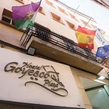 Hostal Goyesco Plaza