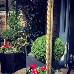 Thornsgill House Bed & Breakfast Hotels in Reeth