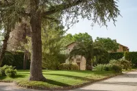 Villa Corallo Hotels in 