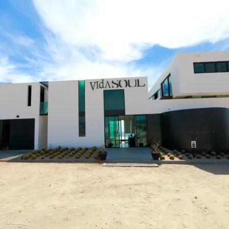 Vidasoul