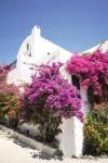 Costa Marina Villas