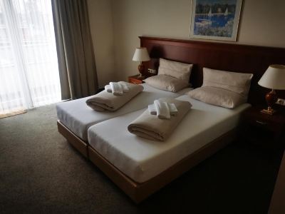 その他 ホテル ハンセアティッシャー ホフの写真