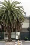 Areca Launceston Hotels in Launceston