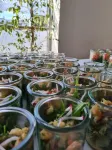 Hotel am Wintergarten - breakfast