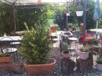 B&B Il Moscondoro Hotels in Montopoli in Val d'Arno