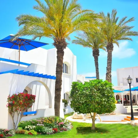 Zenon Djerba