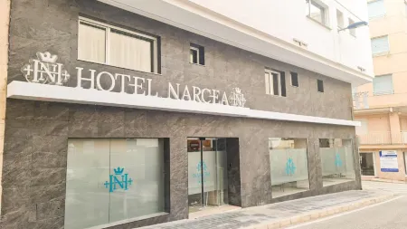Hotel Narcea