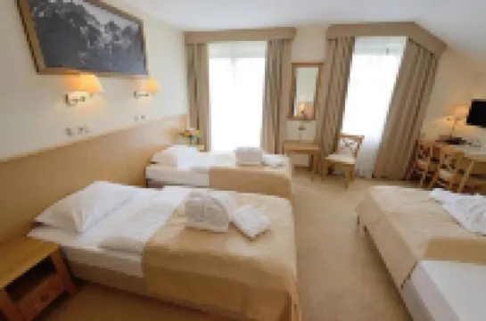 Hotel Alpejski Hotels in Klodzko County