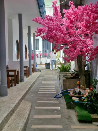 塔尼沙美島旅館