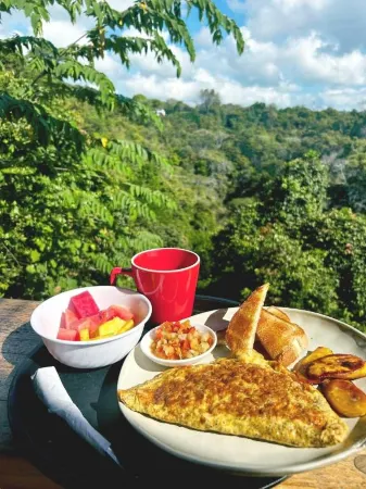 Sunshine Sanctuary Boutique Jungle Lodge