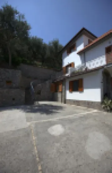 太陽花住宿加早餐酒店