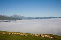 Le Viscos Hotels in Cauterets