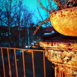 Hotel la Fertè Hotels in Asti