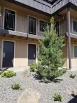 The Hotel Y
