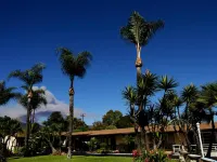 Palm Tropics Motel Hotels in Glendora