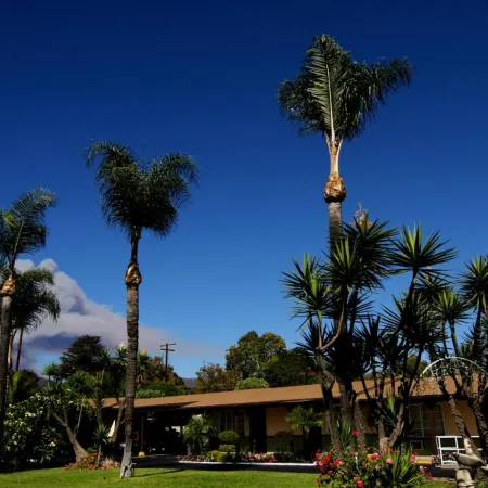 Palm Tropics Motel