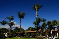 Palm Tropics Motel