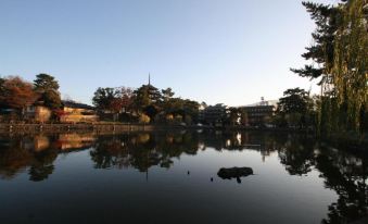 Haruya Naramachi