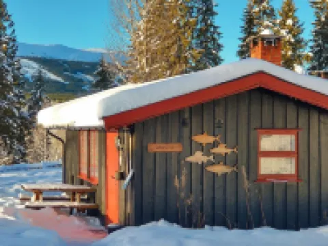 トリシル ヒッテグレンド トリシルのホテル