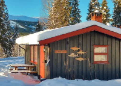 Trysil Hyttegrend