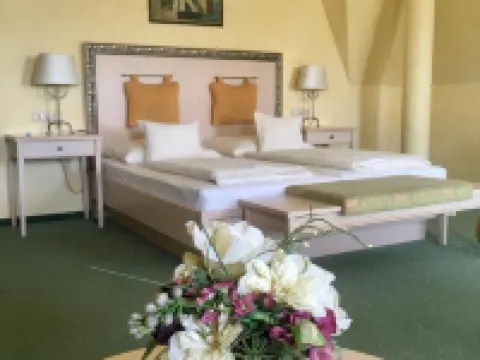 Hétkúti Wellness Hotel モールのホテル