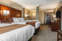 Comfort Suites Rensselaer near Fair Oaks