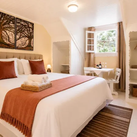 Green Village Hotel Hotels in Monte Verde