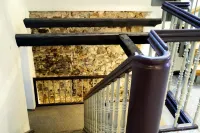 Das Brunners Hotels in Pressath