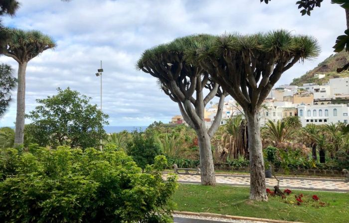Loft Gran Canaria