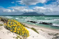 벨푸어 플레이스 게스트하우스