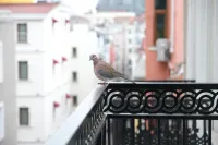 Yellow Mansion Hotels in Istanbul