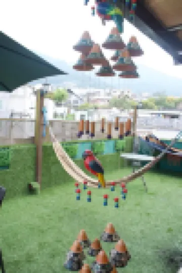 ซามาริวาซี โรงแรม บูทีค