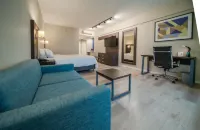 Holiday Inn Express ROSARIO by IHG - 3 Sao