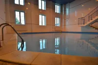 Hotel Vion - piscina