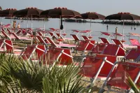 Hotel Concorde - Beach
