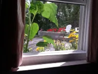 Josephine's on the Bay Bed and Breakfast