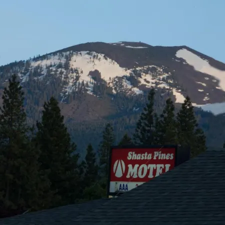Shasta Pines Motel & Suites